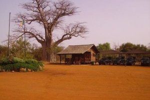 Baobab paysage rural Sénégal nature savane authentique
