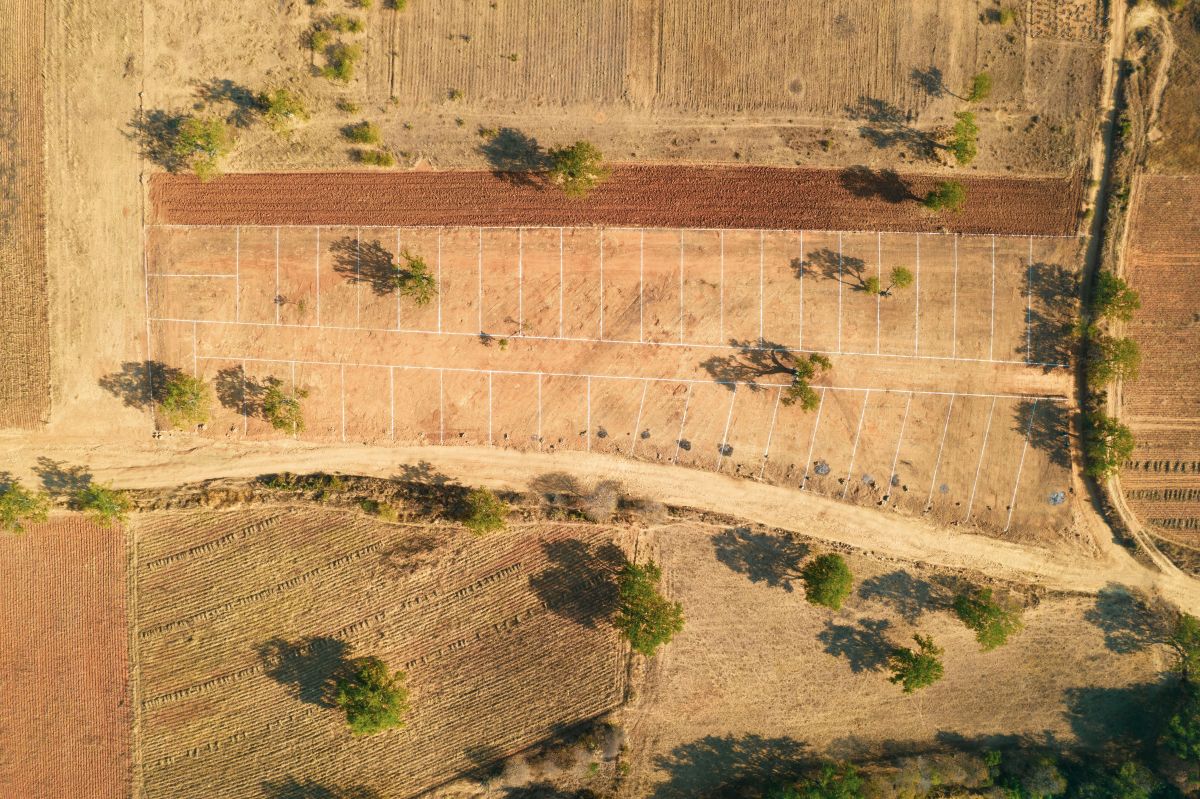 Vue aérienne parcelles loties cadastre Sénégal NICAD