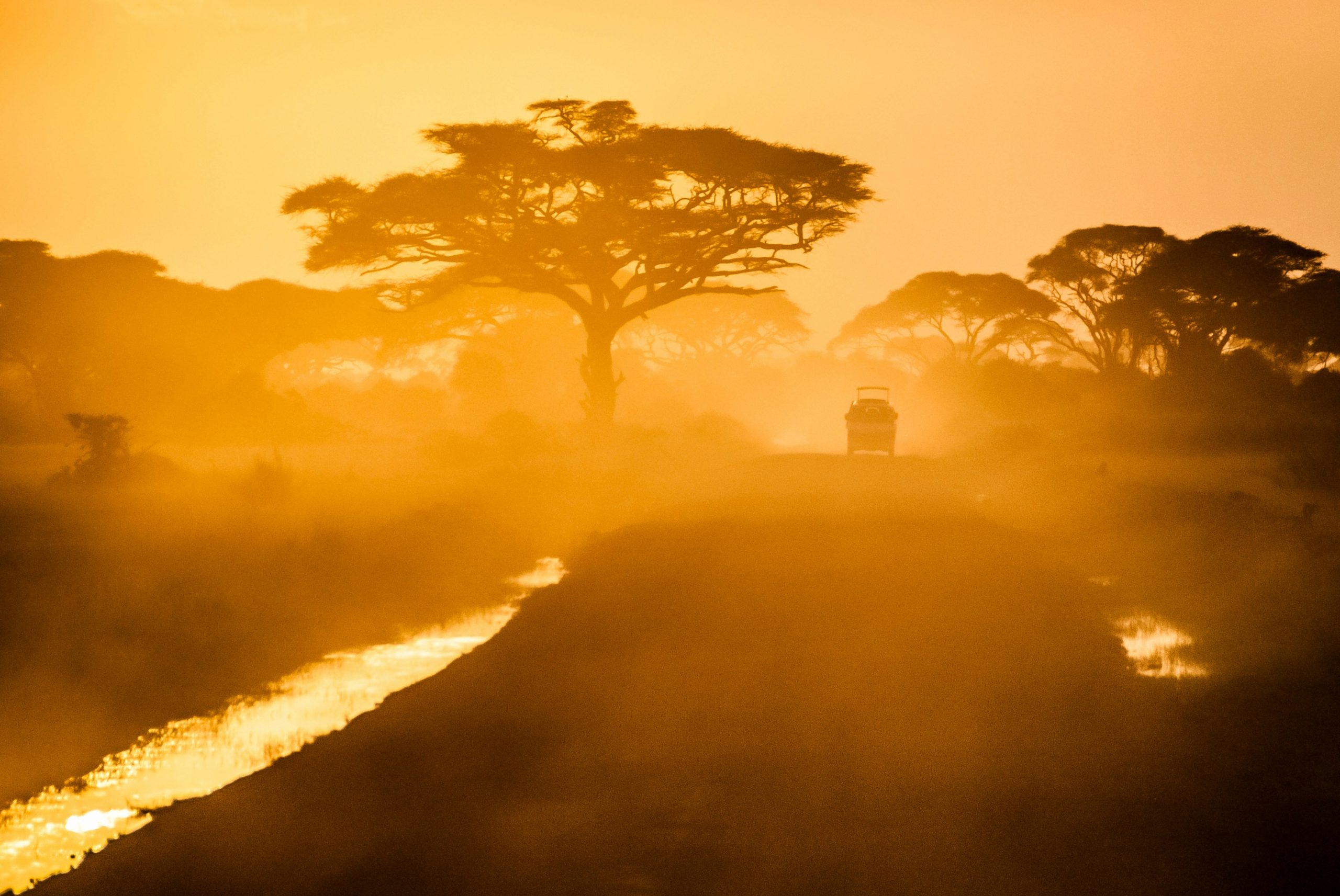Paysage africain baobabs savane coucher soleil Sénégal nature